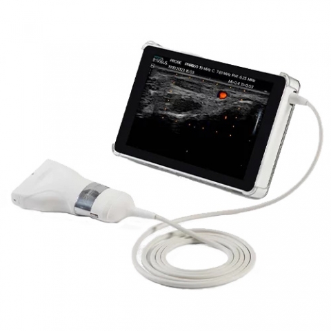Invisus1.jpg
